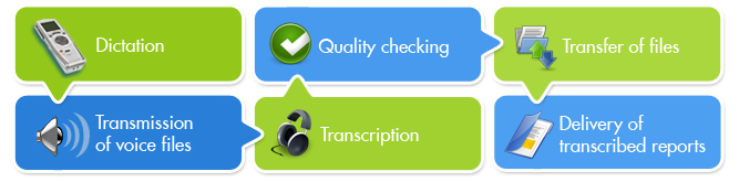 Six step transcription process